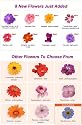 AeroGarden Custom Flower Seed Kits