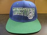NBA Minnesota Timberwolves Wave 2 Tone Retro Snapback Cap