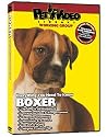 BOXER DVD! Includes Dog & Puppy Training Bonus