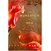 The Momentum of Red: A Novel