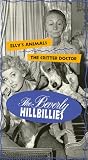 Beverly Hillbillies 8 [VHS]