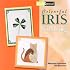 Colourful Iris Folding
