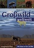 Gro&szlig;wild weltweit: 398 Arten in Wort und Bild - Werner Trense