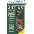 20 gallon aquarium Mini-atlas des 20 gallon aquarium Mini-atlas des
