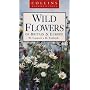 Wild Flowers of Britain and Northern Europe (Collins Nature Guide)