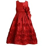 Bonnie Jean Girls 716 RED SHANTUNG ROSETTE BORDER Special Occasion Christmas Holiday Pageant Party Dress8 BNJ3872XX43872