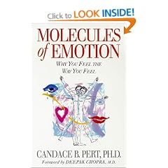 Molecules of Emotion: Why You Feel the Way You Feel