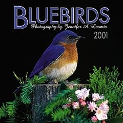 Bluebirds 2001 Calendar