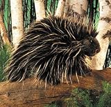 Plush Porcupine Puppet 13