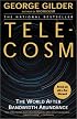Telecosm: The World After Bandwidth Abundance
