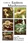 Guide to Eastern Mushrooms