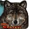 Books on Wolves