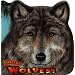 Books on Wolves