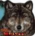 Wolves! (Know-It-Alls)