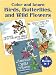 Color and Learn Birds, Butterflies, and Wild Flowers (Color and Learn (Dover))