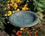Hanging Oakleaf Birdbath Verdigris