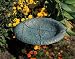 Hanging Oakleaf Birdbath Verdigris