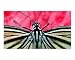 Butterfly in Pink Photographic Poster Print by Joe Hipp, 10x8