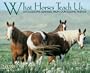 What Horses Teach Us