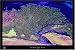 Lena River Delta, Russia Satellite Art Print, 36