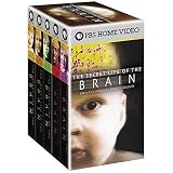 The Secret Life of the Brain - 5 tape set