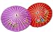 Chinese Handpainted Nylon Parasol with Floral Design