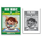 視覚構造化2 自立のスキル 久保田式 [DVD]