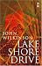 Lake Shore Drive (Salt Modern Poets) by John Wilkinson Lake Shore Drive (Salt Modern Poets) by John Wilkinson