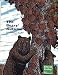 Search : The Bears' Autumn (Celebrate Reading!)