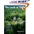 The Lords of Tikal: Rulers of an Ancient Maya City