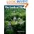 The Lords of Tikal: Rulers of an Ancient Maya City
