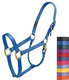 Premium Horse Halters - Large: Hunter Green