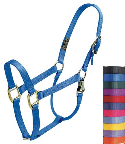 Premium Horse Halters - Large: Black