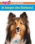 Le berger des Shetland