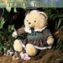 Teddy Bears 2004 Calendar