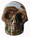 Skull Chakra Balancing Worry Stone Naga Land Tibet Sacred Stones Amulet
