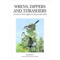 Wrens, Dippers and Thrashers