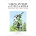 Wrens, Dippers, and Thrashers: A Guide to the Wrens, Dippers, and Thrashers of the World