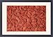 Framed Prints of KEL-1573 Wolfberry / Goji Berries - dried from Ardea Wildlife Pets