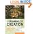 The Groaning of Creation: God, Evolution, and the Problem of Evil