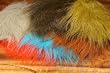 Craft Fur ::: Extra Select