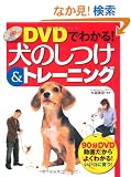 DVD�ł킩��!���̂���&�g���[�j���O