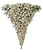 Barcana 5 Foot Flocked Ready Trim Half Upside Down Corner Christmas Tree with 300 Clear Mini