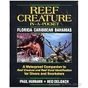 Reef Creature In-A-Pocket