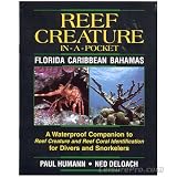 Reef Creature Pocket Guide Florida Caribbean Bahamas