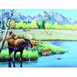 Waterhole Gathering 500pc Jigsaw Puzzle by Cynthie Fisher
