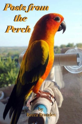 Posts from the Perch, by Becca Brandes