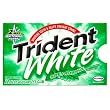 Trident White Spearmint Sugarless (12 Piece) Gum 3-Count Multi-Packs (Pack of 20)
