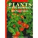 Plants of the Metroplex