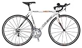 超特価!!　LOUIS GARNEAU【ルイガノ】 トライアスロンバイク （LGS-MER-EX)  (490mm)
